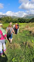 Viñales - Wanderung durch das Tal