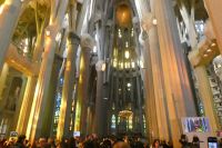 in einem Wald von Säulen (Bäumen)