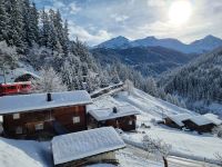 Fahrt mit dem Arosa-Express 