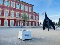 Musée Matisse in Cimiez