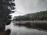 Mummelsee
