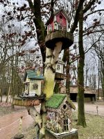 Tag 4 - Heidegarten in Schneverdingen 