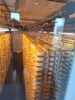 291 Stein Besuch der Appenzeller Schaukäserei - Blick in den  Käsekeller