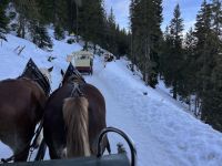 Schlittenfahrt auf der Katschberghöhe