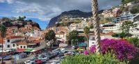 73 Camara de Lobos