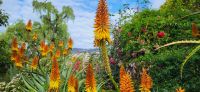 100  im Orchideengarten