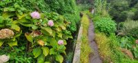 120  Levada Wanderung am Neujahrstag