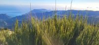 134 Blick vom  Pico do Ariero 