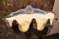 Heute gefährdete Riesenmuschelhälfte