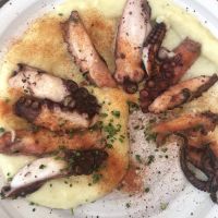 Ein Pulpo-Traum