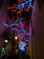 Die Beleuchtung zeigt in diesem Jahr Meeresmotive.