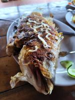 Playa Larga - Tiki Fisch für alle