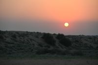 Silvesterreise Dubai - Wüstensafari (1)