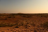 Silvesterreise Dubai - Wüstensafari (8)