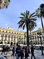 Placa de Rei_IMG 5054