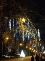 Paseo de Prado, Weihnachtsbeleuchtung