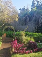 im botanischen Garten, Funchal