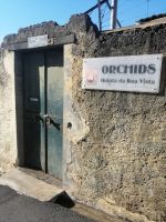Quinta da Boa Vista Orchidea, Eingang