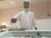 Weihnachts-Buffet im Hotelrestaurant Acquamarina