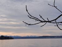 Blick über den Ammersee