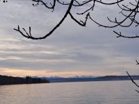Blick über den Ammersee