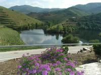 Blick von der Quinta do Tedo