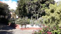Im Kräutergarten