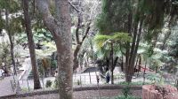 Der Garten in Monte