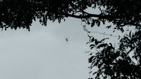 Am Fort Siloso - Sentosa Island (5)
