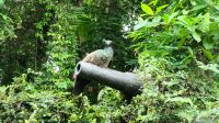 Am Fort Siloso - Sentosa Island (10)