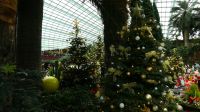 Flower Dome - Christmas Ausstellung (2)