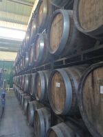 Führung durch die Weinkellerei (Frauenkooperative) - Madeira Vintners, Caminho Sao Martinho