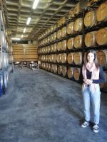 Führung durch die Weinkellerei (Frauenkooperative) - Madeira Vintners, Caminho Sao Martinho