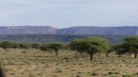 Namibia - Nature Drive am Mount Etjo - faszinierende Landschaft