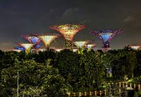 Supertrees, Gardens by the Bay Singapur