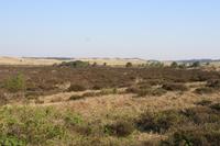 die Nordsee in weiter Ferne