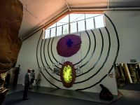 Kauri Bäume können Durchmesser von bis zu 8 Metern erreichen