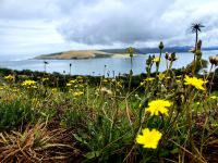 Faszinierender Blick auf der Nordinsel Neuseelands auf dem Weg nach Paihia
