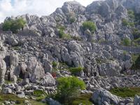 Karstgestein am Mali Alan