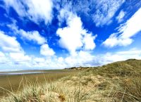 Faszinierende Strandlandschaft an der Henderson Bay