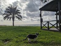 6. Spaziergang nach Paphos