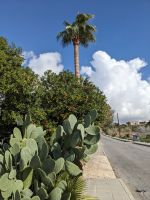 247. Auf dem Weg in die Innenstadt