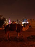 Kamel-Souq in Doha, Katar