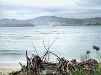 Auf der Coromandel Halbinsel unterwegs