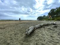 Hot Water Beach Coromandel Halbinsel