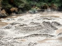 Es blubbert und riecht nach Schwefel in Te Puia