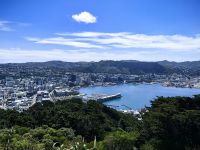 Der Hafen von Wellington