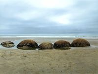 Moeraki Boulders Beach mit den rätselhaften Steinen