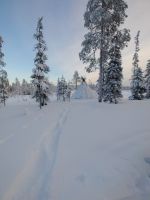 Winterlandschaft