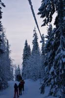 Schneeschuhwanderung